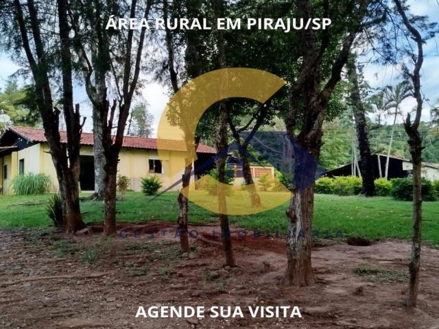 #19 - Sítio para Venda em Piraju - SP - 2